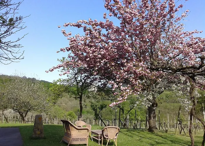 Casa Rural Mahasti Landsted *