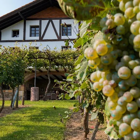 Casa Rural Mahasti * Butron